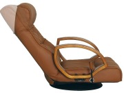 YS-1496-head-reclin.jpg