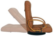 YS-1496-reclin.jpg