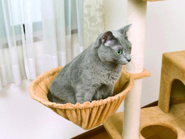 nekochan-tower-kago
